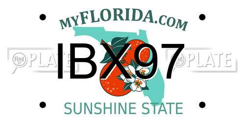 IBX97 Florida License Plate