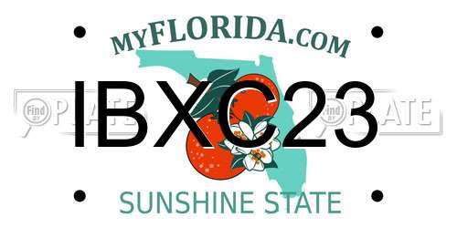 IBXC23 Florida License Plate
