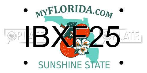 IBXF25 Florida License Plate