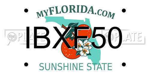 IBXF50 Florida License Plate