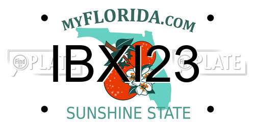 IBXI23 Florida License Plate