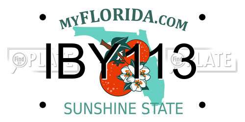 IBY113 Florida License Plate