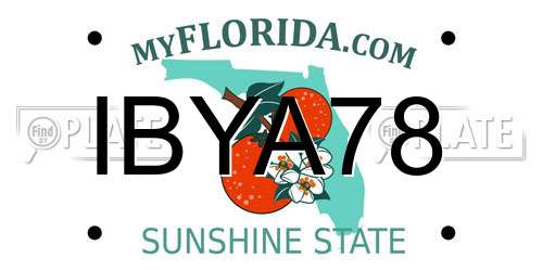 IBYA78 Florida License Plate