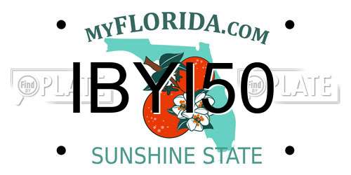 IBYI50 Florida License Plate