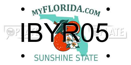 IBYR05 Florida License Plate