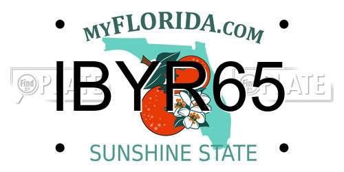 IBYR65 Florida License Plate