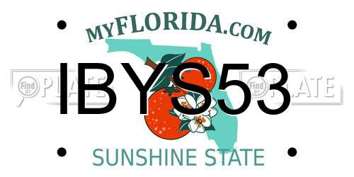 IBYS53 Florida License Plate