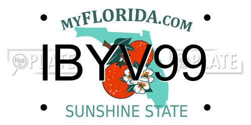 IBYV99 Florida License Plate
