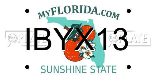 IBYX13 Florida License Plate