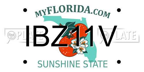 IBZ11V Florida License Plate