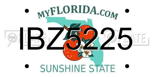 IBZ5225 Florida License Plate