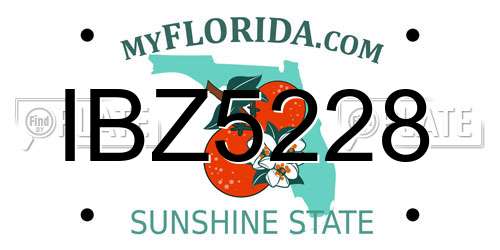 IBZ5228 Florida License Plate