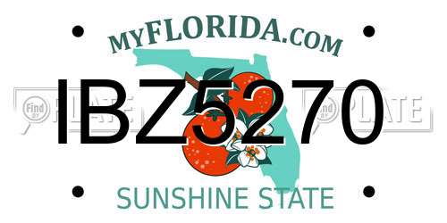 IBZ5270 Florida License Plate