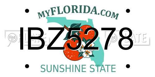 IBZ5278 Florida License Plate