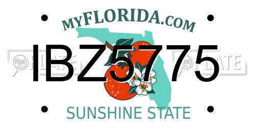 IBZ5775 Florida License Plate
