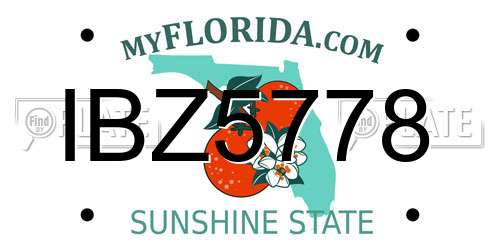 IBZ5778 Florida License Plate