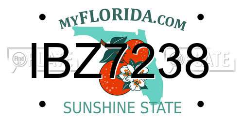 IBZ7238 Florida License Plate