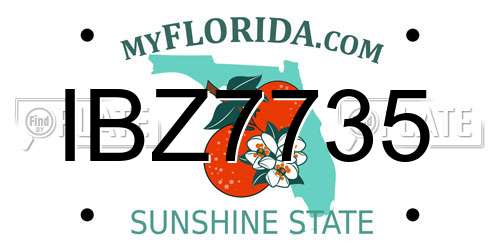 IBZ7735 Florida License Plate
