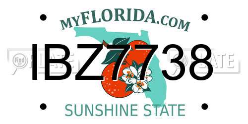 IBZ7738 Florida License Plate