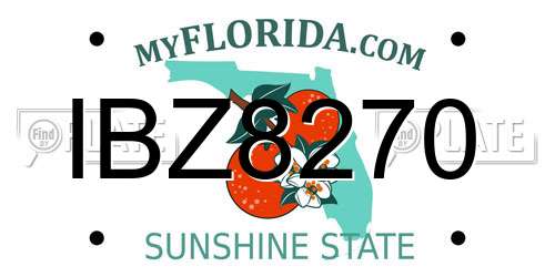 IBZ8270 Florida License Plate