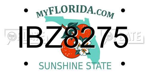 IBZ8275 Florida License Plate