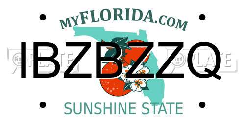 IBZBZZQ Florida License Plate