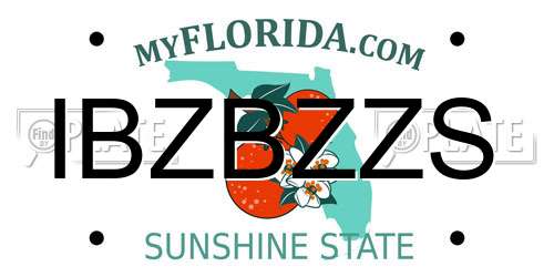 IBZBZZS Florida License Plate