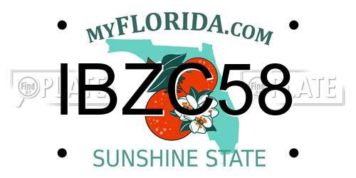 IBZC58 Florida License Plate