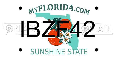 IBZF42 Florida License Plate
