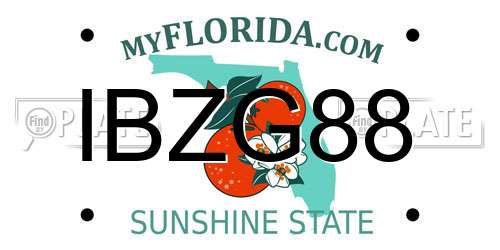 IBZG88 Florida License Plate