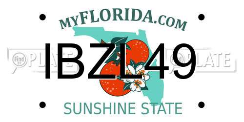 IBZL49 Florida License Plate
