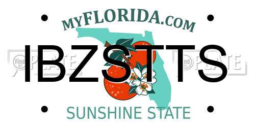 IBZSTTS Florida License Plate