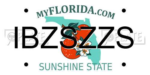 IBZSZZS Florida License Plate