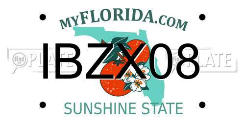 IBZX08 Florida License Plate