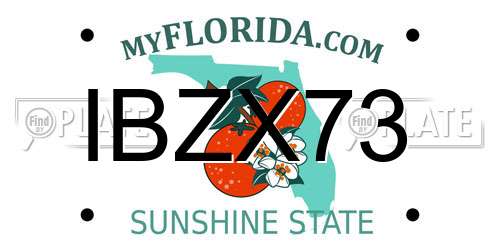 IBZX73 Florida License Plate