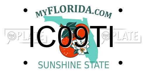 IC09TI Florida License Plate