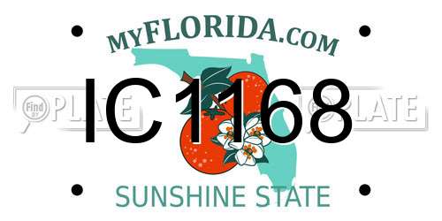 IC1168 Florida License Plate