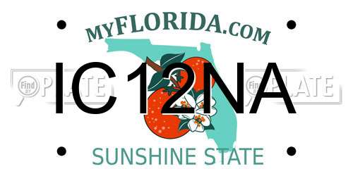 IC12NA Florida License Plate