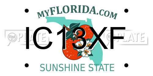 IC13XF Florida License Plate