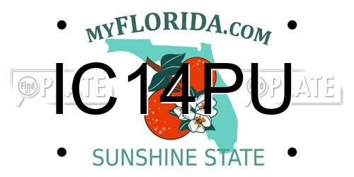 IC14PU Florida License Plate