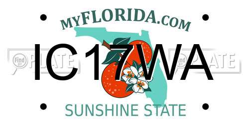 IC17WA Florida License Plate