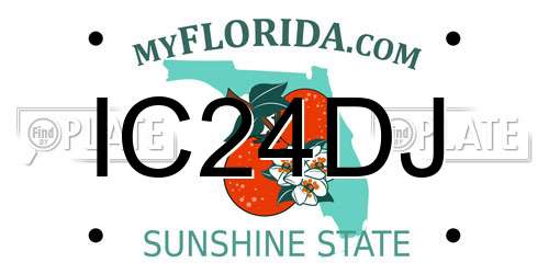 IC24DJ Florida License Plate