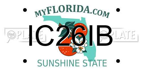 IC26IB Florida License Plate