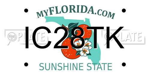 IC28TK Florida License Plate