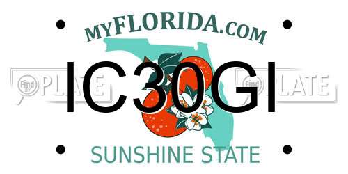 IC30GI Florida License Plate