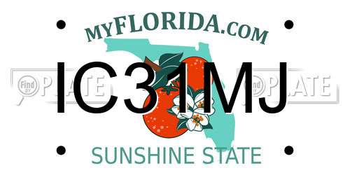 IC31MJ Florida License Plate