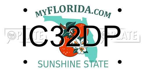 IC32DP Florida License Plate