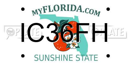 IC36FH Florida License Plate