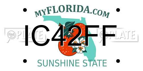 IC42FF Florida License Plate