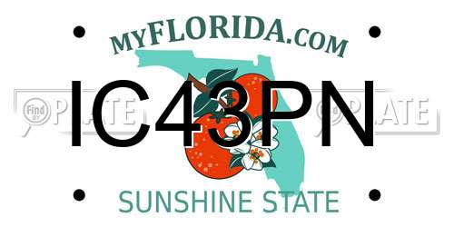 IC43PN Florida License Plate